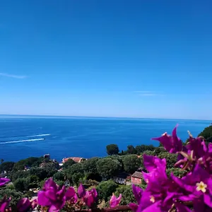  Apartment Azur France